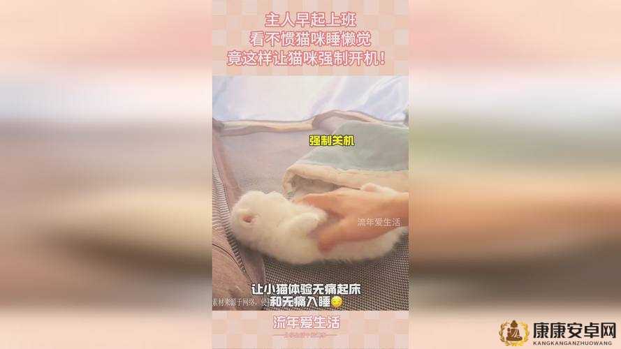 仙踪 cosmetology 大陆免费畅享美容新体验